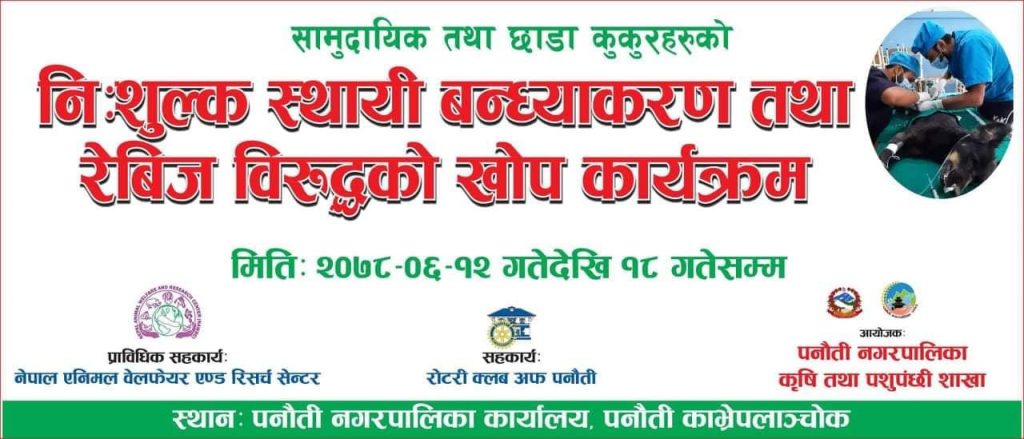 पनौती नगरपालिकाले कुकुरको निःशुल्क बन्ध्याकरण र रेबिज विरुद्धको खोप लगाउने