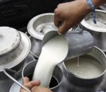 बागमती प्रदेशमा दूधको मूल्य प्रतिलिटर १० रुपैयाँ बढाउने निर्णय